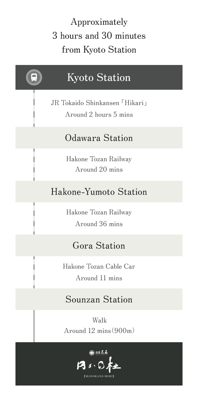 For Guests Arriving by Train or Plane