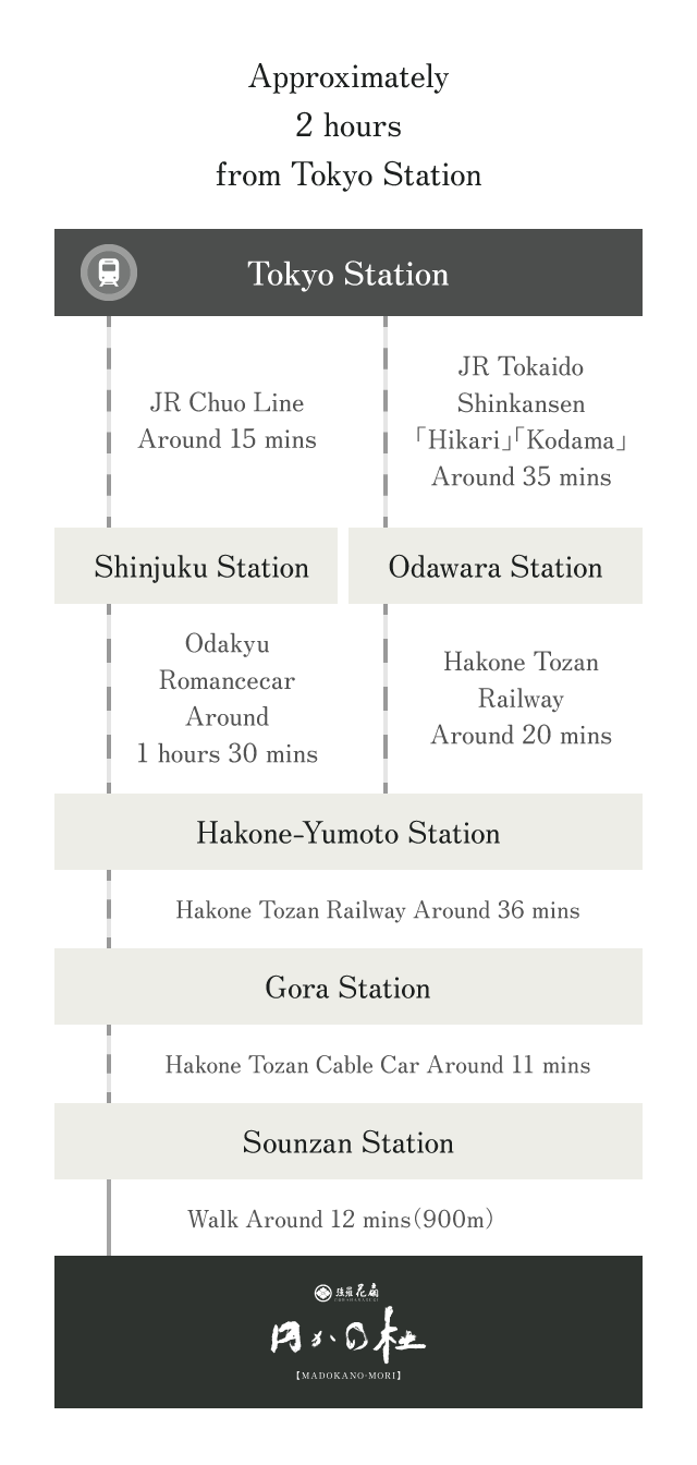 For Guests Arriving by Train or Plane