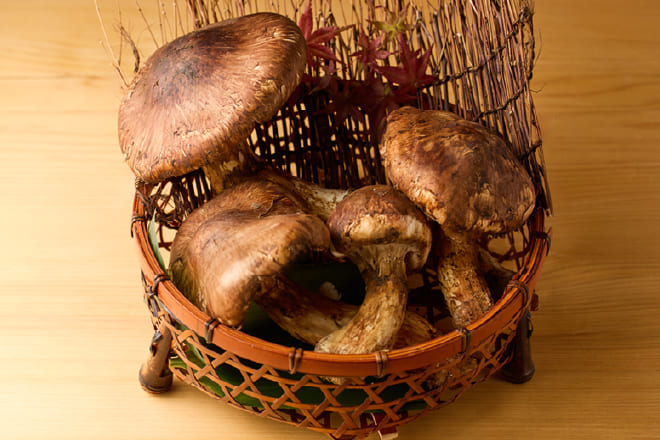 日本全国より厳選 旬の食材たち