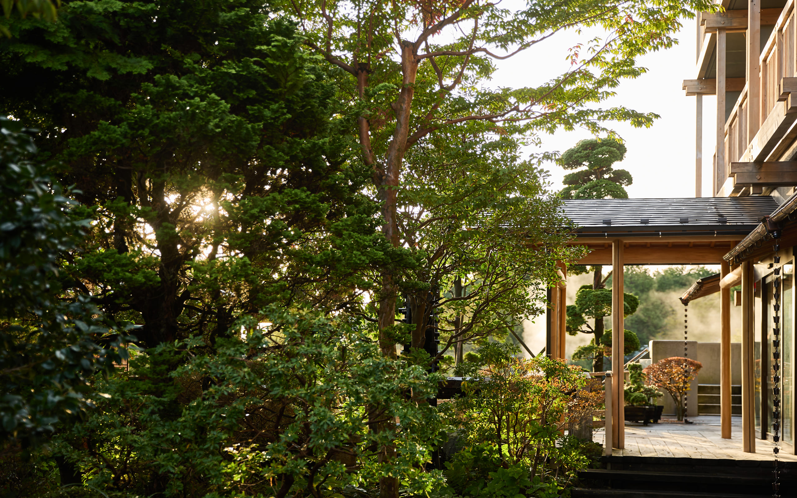 生きた山の恵み ふたつの自家源泉との邂逅