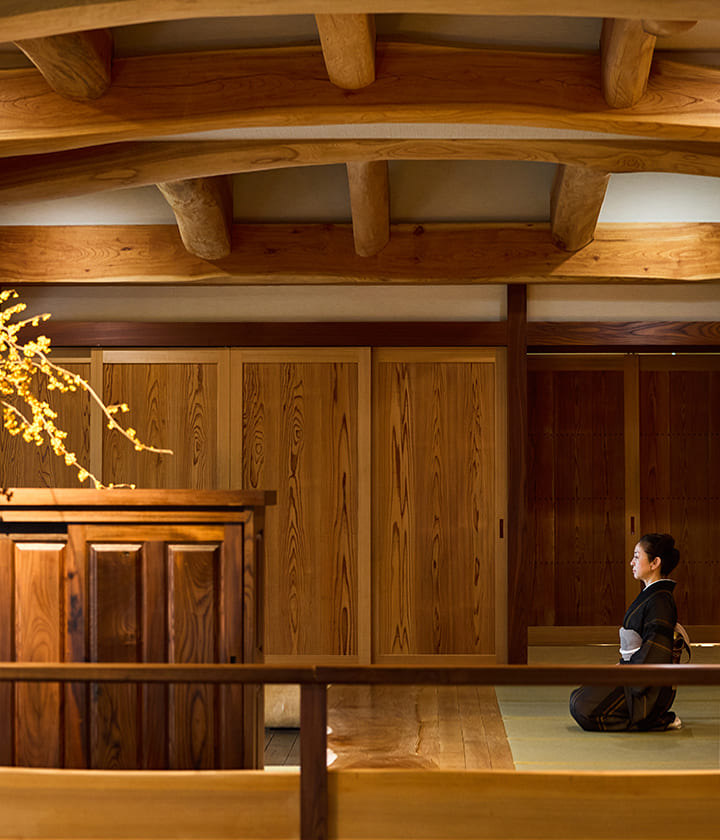 A Forest Where Connections Are Woven