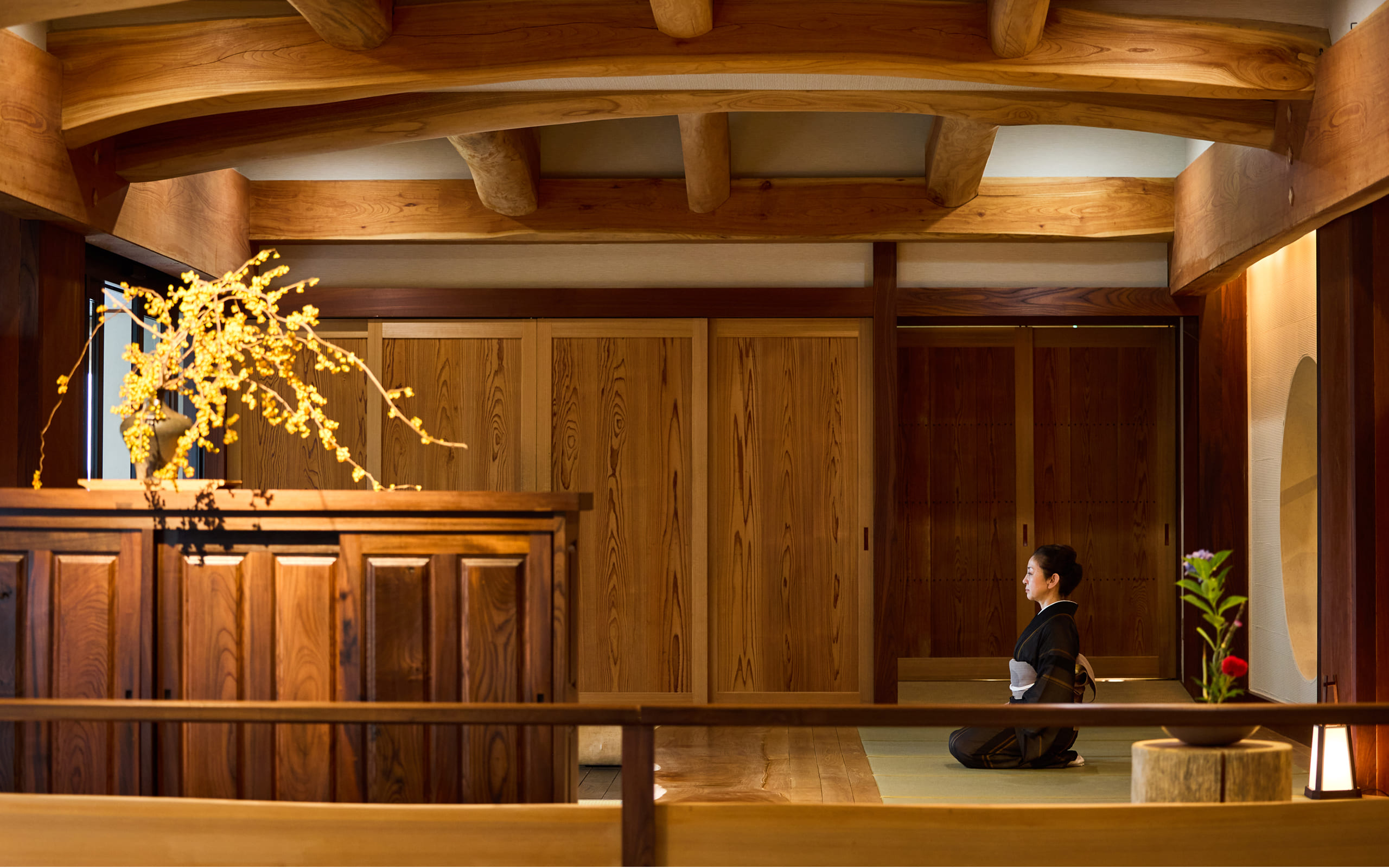 A Forest Where Connections Are Woven