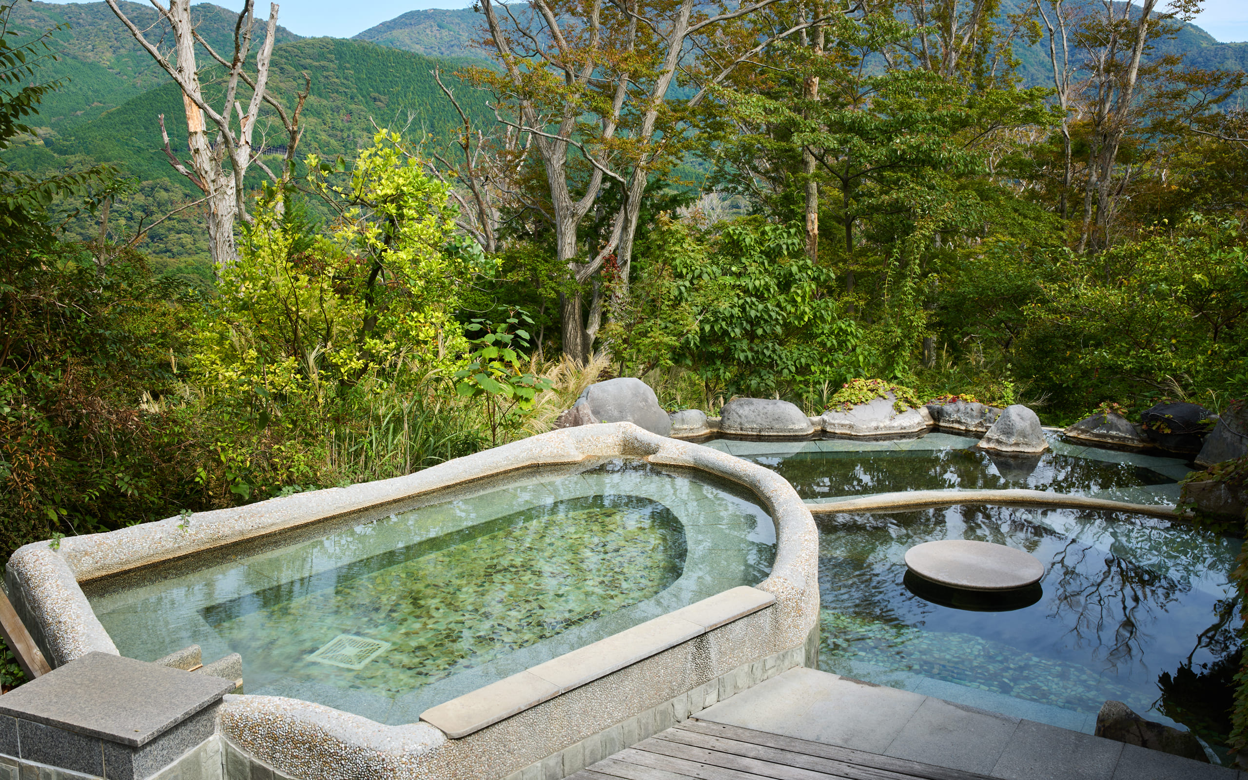 全てを叶える、理想の森林浴露天風呂・内湯「大浴場」