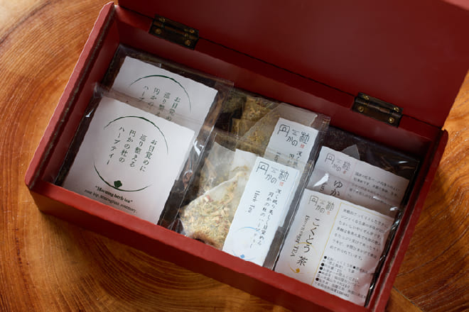 Blends to Balance Body and Mind